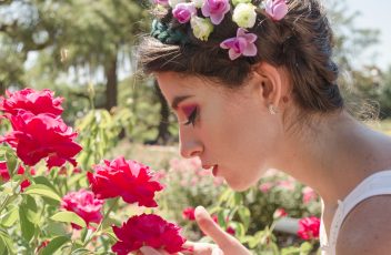 roses-beauty-crop